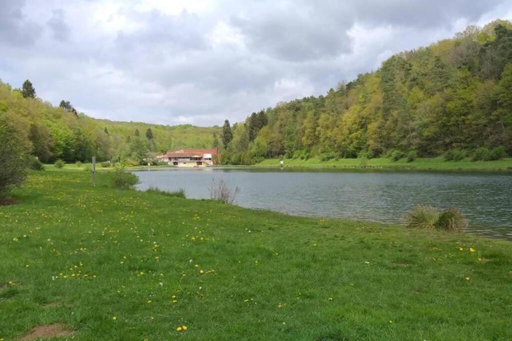 Le repaire des belettes Vallée de Rabais Virton Esterno foto